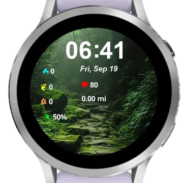 Into Forrest Garmin watch face preview