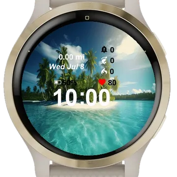 Island Surrounded By Palm Trees Garmin watch face preview