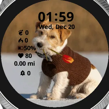 Jack Terrier Garmin watch face preview