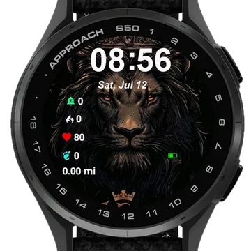 King Garmin watch face preview