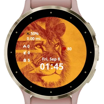 King Leon Garmin watch face preview