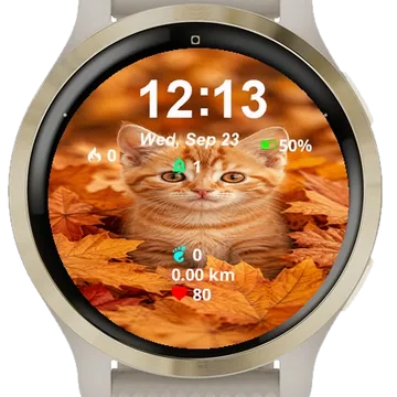Kitten Sitting Middle Garmin watch face preview