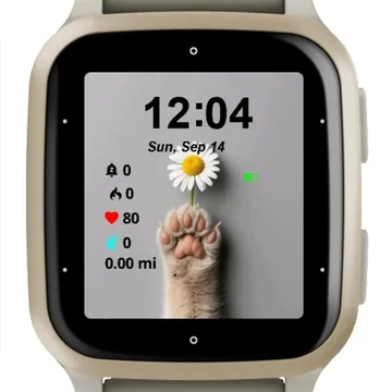 Kitty Garmin watch face preview