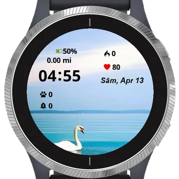 Lake Garmin watch face preview