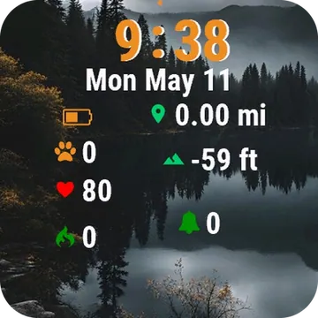 Lake Trees Dark Sky Garmin watch face preview