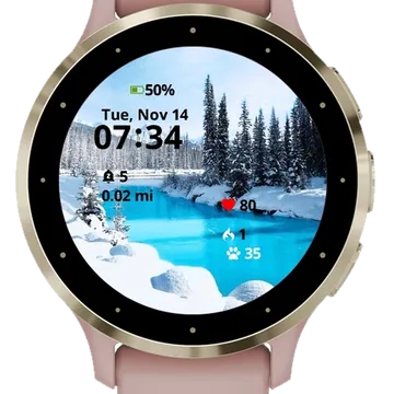 Lake Winter Garmin watch face preview