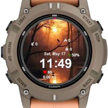 Landscape Birds Garmin watch face preview