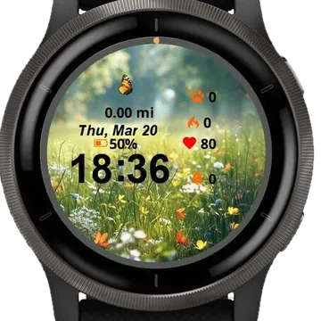 Landscape Butterfly Garmin watch face preview