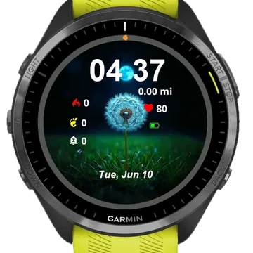 Landscape Dandelion Garmin watch face preview