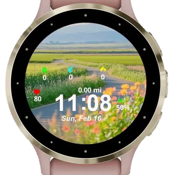 Landscape Nature Garmin watch face preview