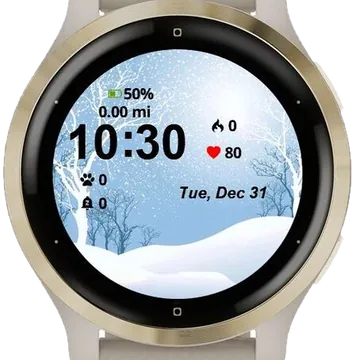 Landscape Winter Garmin watch face preview