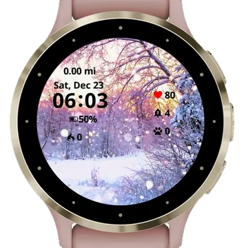 Landscape Winter Garmin watch face preview