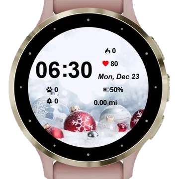 Landscape Winter Snow Garmin watch face preview