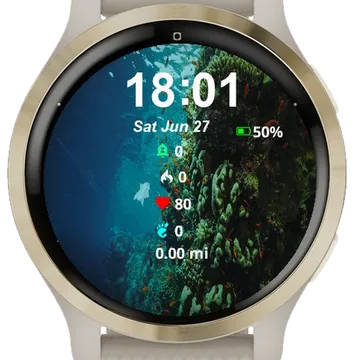 Large Group Fish Swimming Garmin watch face preview