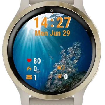 Large School Fish Swimming Garmin watch face preview