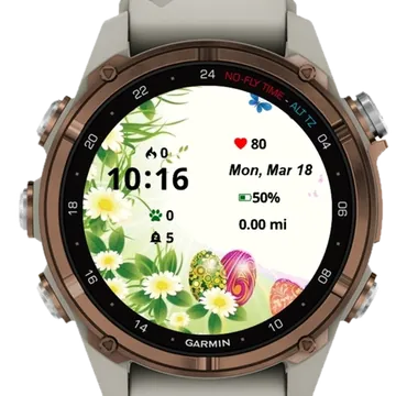 Leaf Eggs Flowers Garmin watch face preview