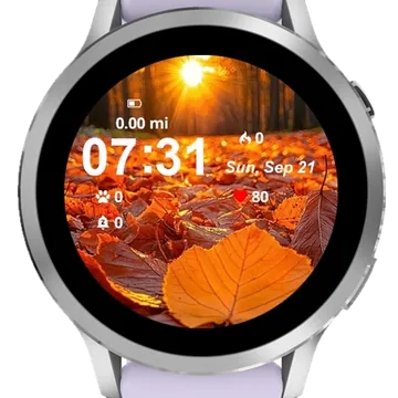 Leaves Fall Garmin watch face preview