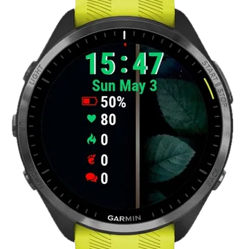 Leaves Gold Frame Garmin watch face preview