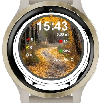 Leaves Path Garmin watch face preview