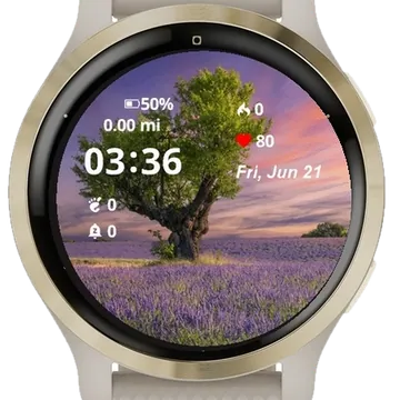 Levender Field Sunset Garmin watch face preview