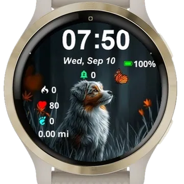 Like Sunlight Garmin watch face preview