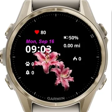 Lily Wallpaper Garmin watch face preview