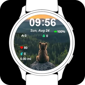 Little Bear Garmin watch face preview