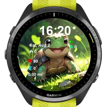 Little Cute Turtle Garmin watch face preview