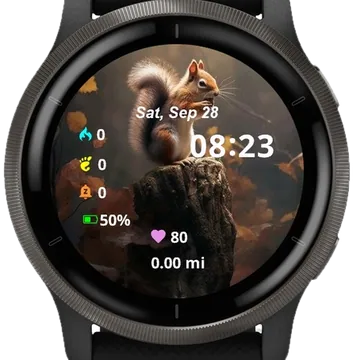Little Squirrel Garmin watch face preview