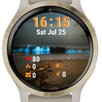 Log Laying Beach Next Ocean Garmin watch face preview