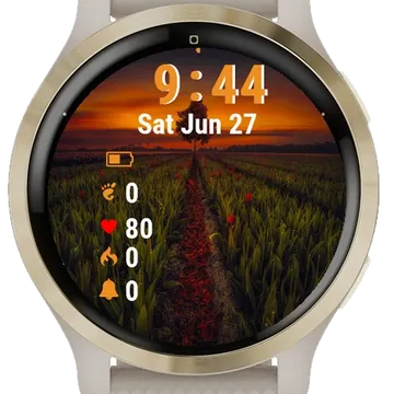 Lone Tree Stands Middle Field Garmin watch face preview