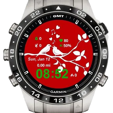Love Birds Garmin watch face preview