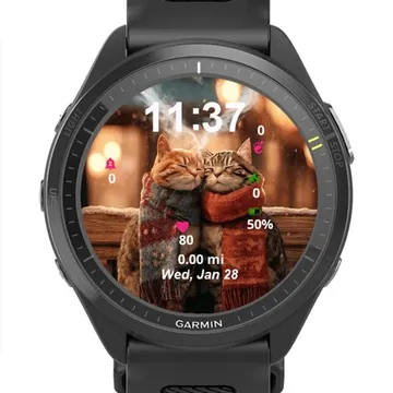 Lovely Cats Garmin watch face preview