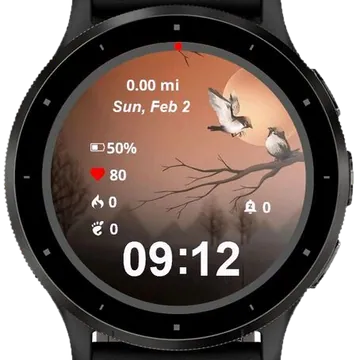Lovely Little Birds Garmin watch face preview