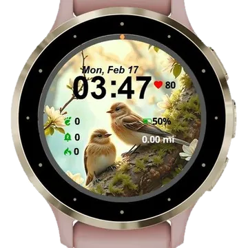 Lovely Nature Birds Garmin watch face preview