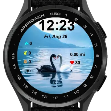 Lovely Swans Garmin watch face preview