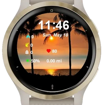 Lowdermilk Park Garmin watch face preview