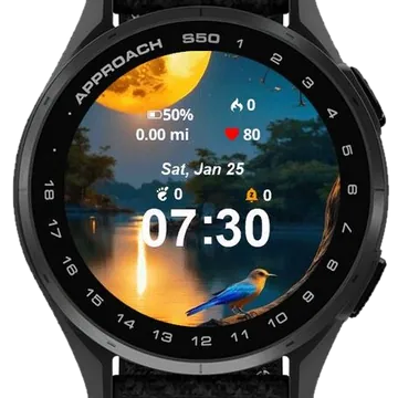 Lunar Harmony Garmin watch face preview