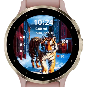 Lyon in snow Garmin watch face preview