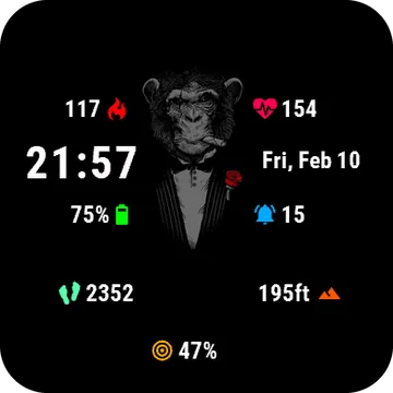 Mafiamonkey Garmin watch face preview