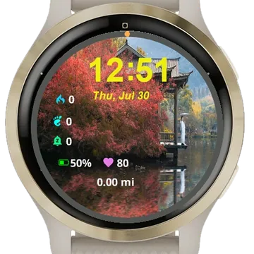 Man Standing Dock Water Garmin watch face preview