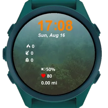 Many Trees Middle Foggy Forest Garmin watch face preview
