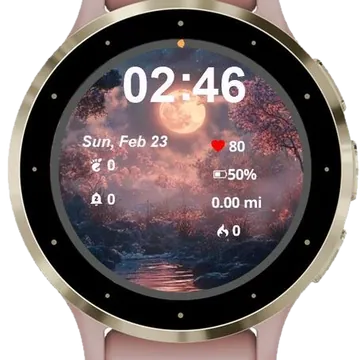 Moon Landscape Garmin watch face preview