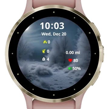 Moonlit Frost Garmin watch face preview