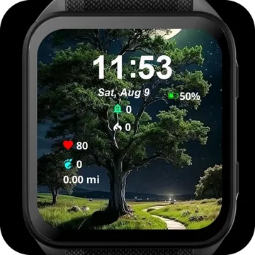 Moonlit Path Garmin watch face preview