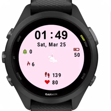 Mr Bunny Garmin watch face preview