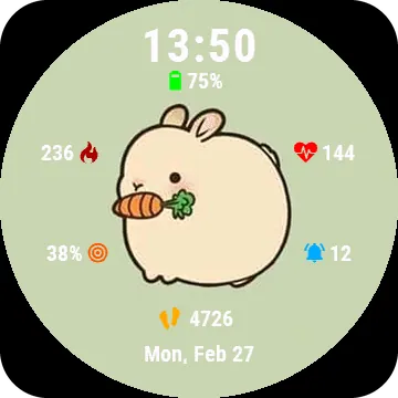 Mr.Carrot Garmin watch face preview