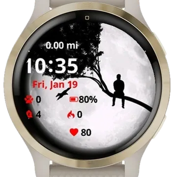 My Daily Choice Garmin watch face preview
