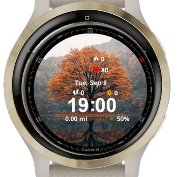 Nature Autumn Tree Garmin watch face preview