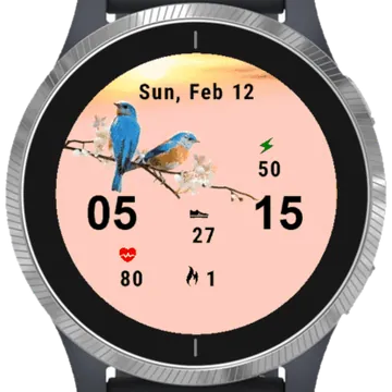 Nature Birds Garmin watch face preview